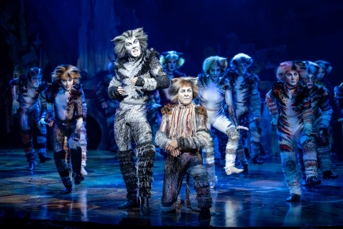 CATS-Musical-Crown-Perth