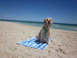 Tesalate-Beach-Towel-Bora-Bora