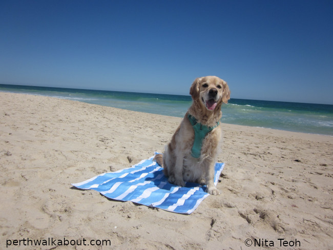 Tesalate-Beach-Towel-Bora-Bora