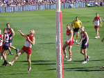 aussie-rules-fremantle-dockers-150