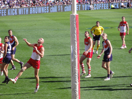 aussie-rules-fremantle-dockers-450