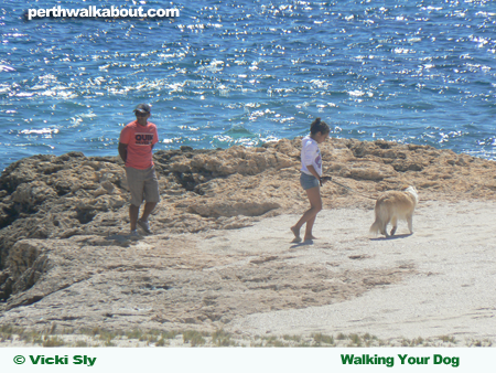 dog-beach-perth-2