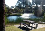 edith-cowan-university-joondalup-lake-150