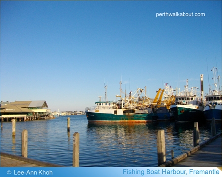 fishing-boat-harbour-fremantle