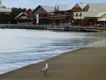 mandurahforeshore-t