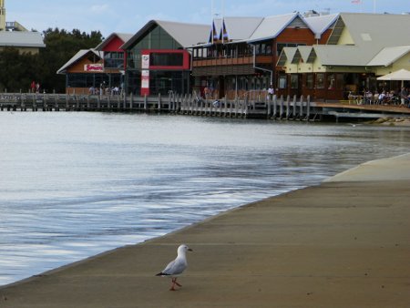 mandurahforeshore