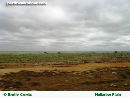 nullarbor-plain