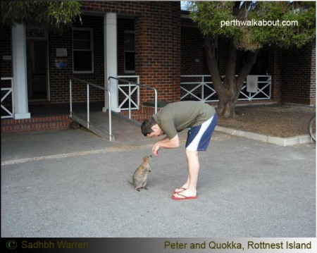 peter-quokka-rottnest-island