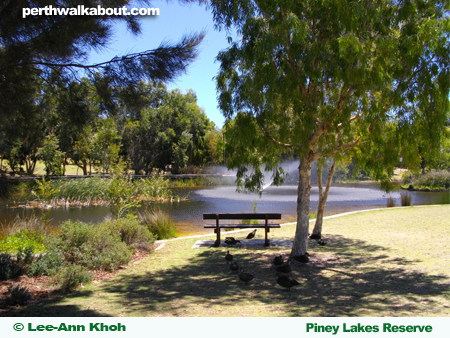 piney-lakes-reserve