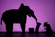 shadowland-regal-theatre-2-190-127