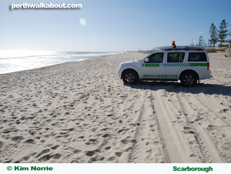 surf-lifesaving-scarborough