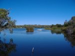 yanchep-national-park-2-t