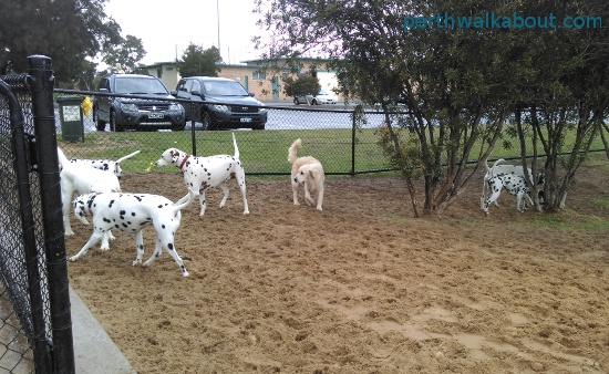 dog-parks-perth-550